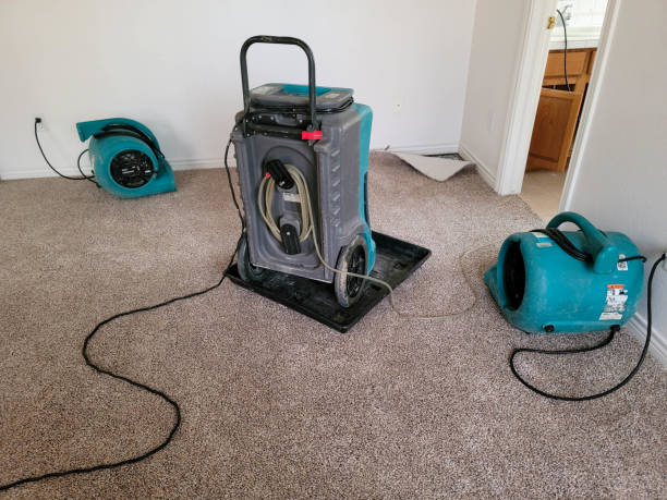 Reliable Moravian Falls, NC Water damage restoration Solutions