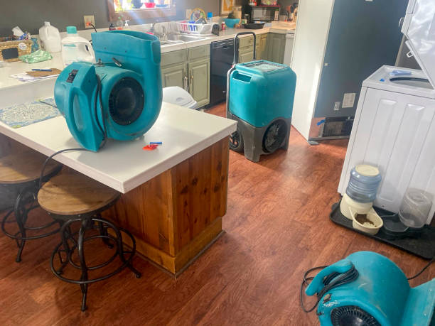 Best Mold removal after water damage  in Moravian Falls, NC