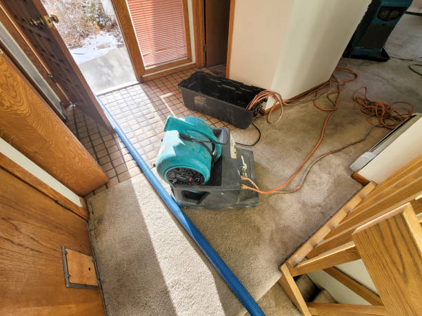 Best Flood restoration services  in Moravian Falls, NC