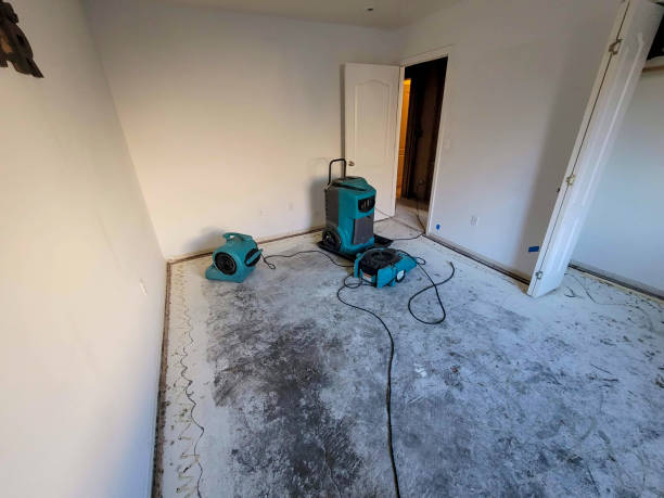 Best Flooded house restoration  in Moravian Falls, NC