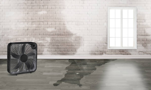 Best 24/7 water damage repair  in Moravian Falls, NC