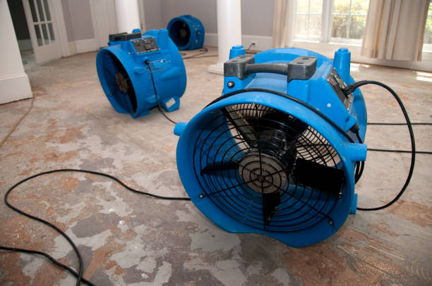 Best Water damage cleanup near me  in Moravian Falls, NC