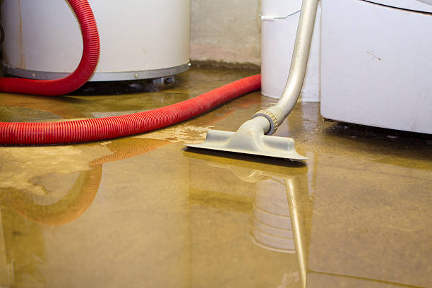Best Commercial water damage restoration  in Moravian Falls, NC
