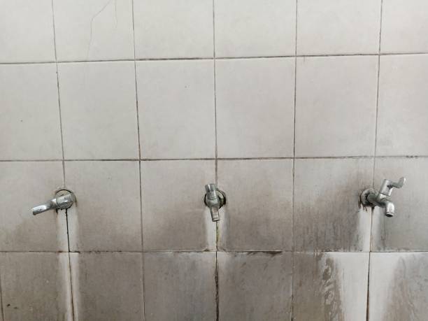 Best Water damage restoration near me  in Moravian Falls, NC