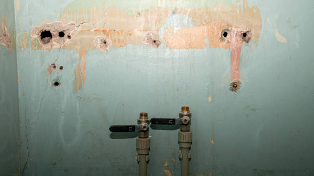 Best Flood damage cleanup  in Moravian Falls, NC