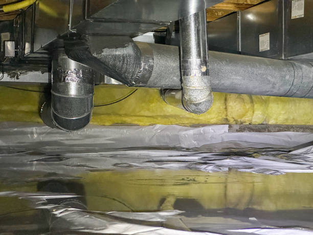 Best Water damage mitigation services  in Moravian Falls, NC