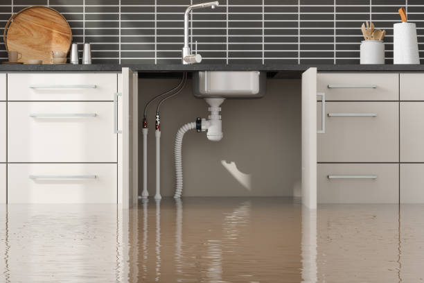 Best Commercial water damage restoration  in Moravian Falls, NC